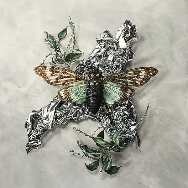 Cicada on Wattle by Alex Louisa | Lethbridge Gallery
